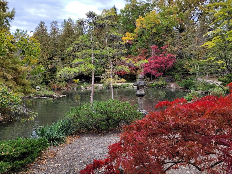 Beautiful Japanese Garden