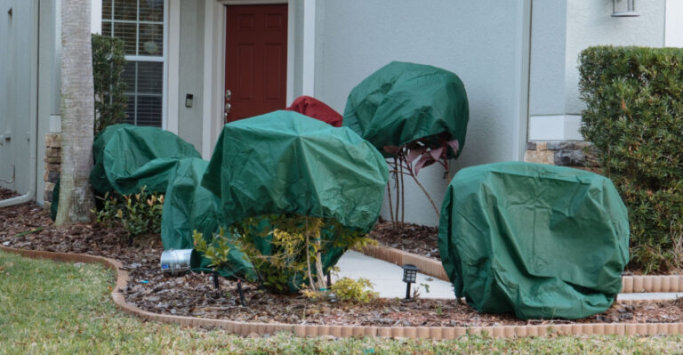 Plant covering to protect from frost and freeze