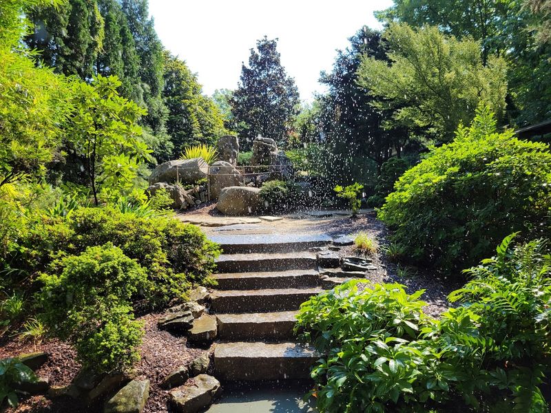 Discover A Living Plant Collection In The Heart Of UNC Charlotte