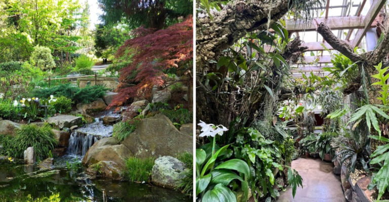 If You Are Visiting North Carolina This Stunning Botanical Garden Is An Absolute Must See