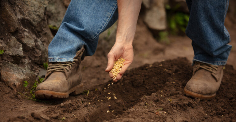 If You’re Starting Your First Garden In Michigan This Year Here’s What You Need To Know