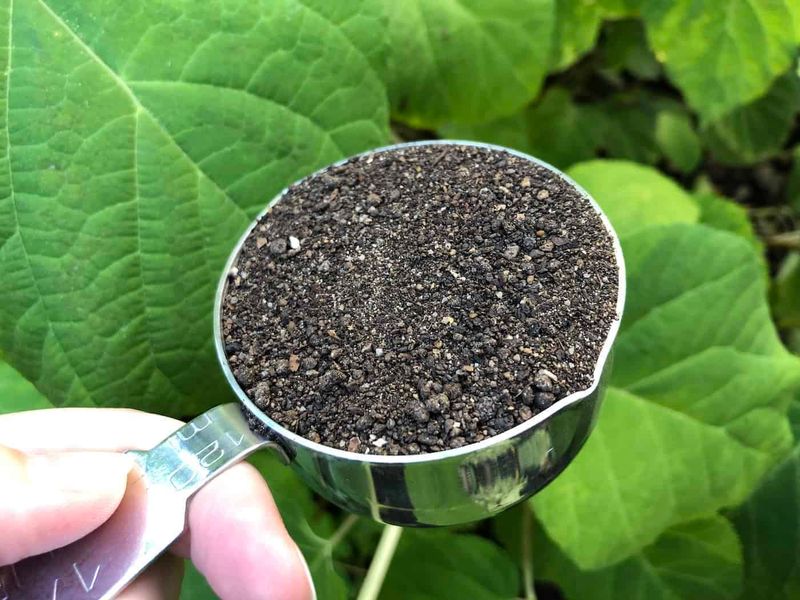 Use The Right Fertilizer At The Right Time