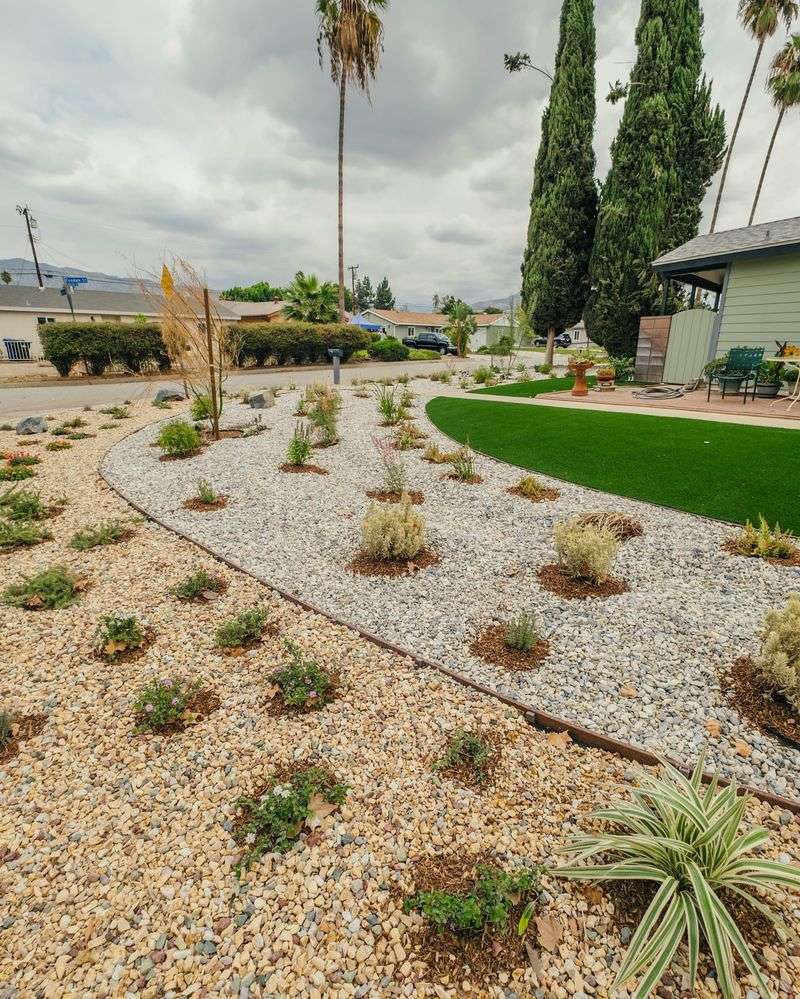 Replacing High-Water Lawns With Smarter Landscape Alternatives