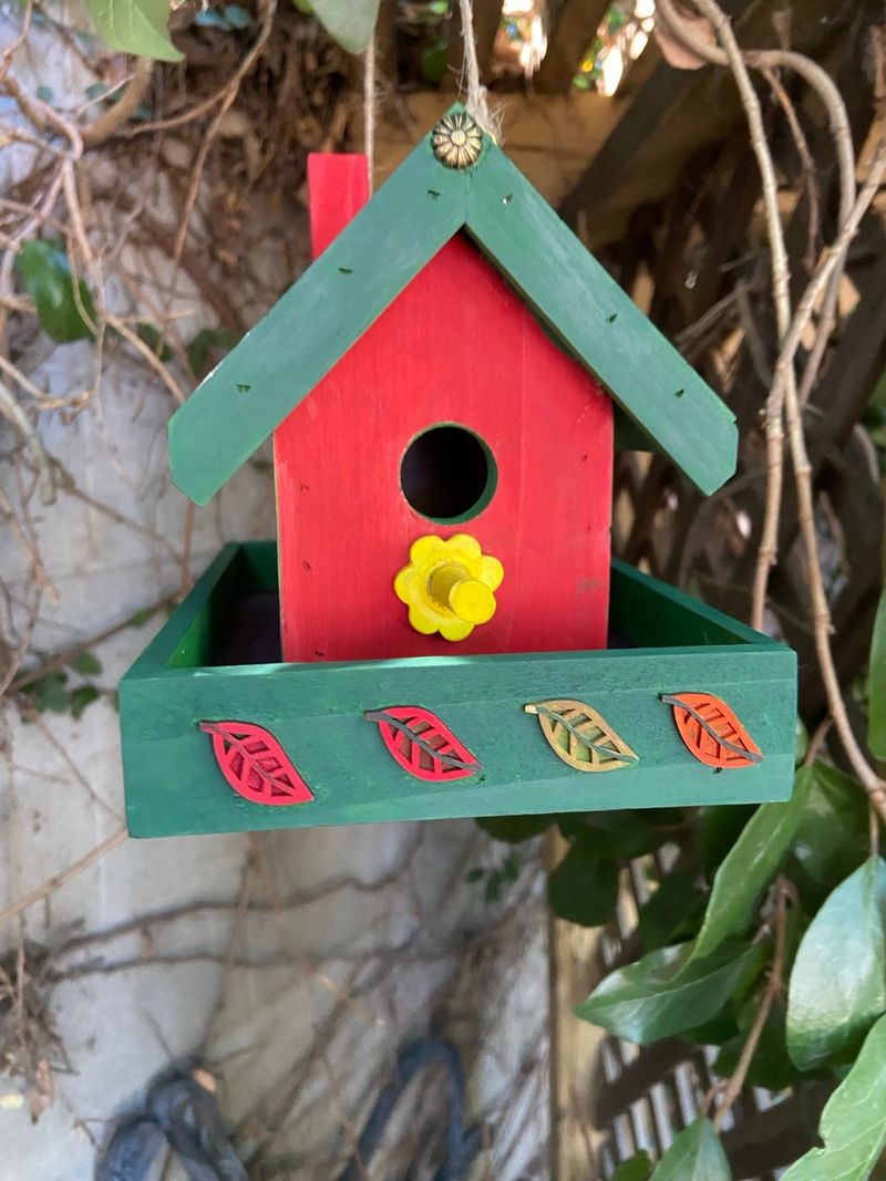 Hang Outdoor Decorations In Vibrant Colors