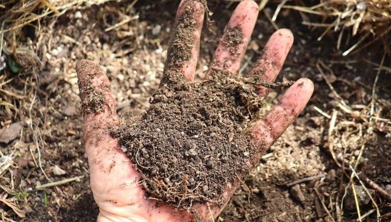 Soils Can Dry Out Faster