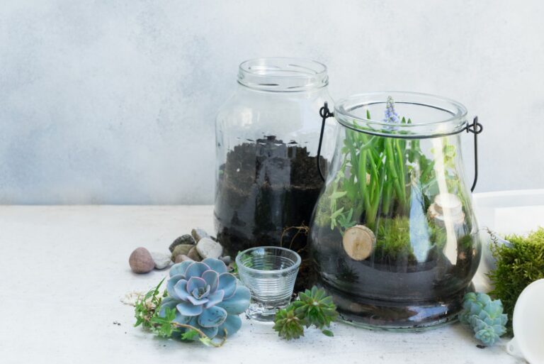 herbs in jars