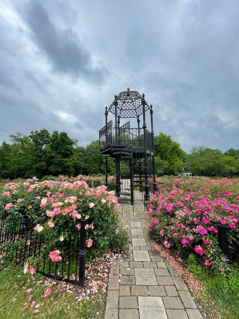 Park Of Roses At Whetstone Park