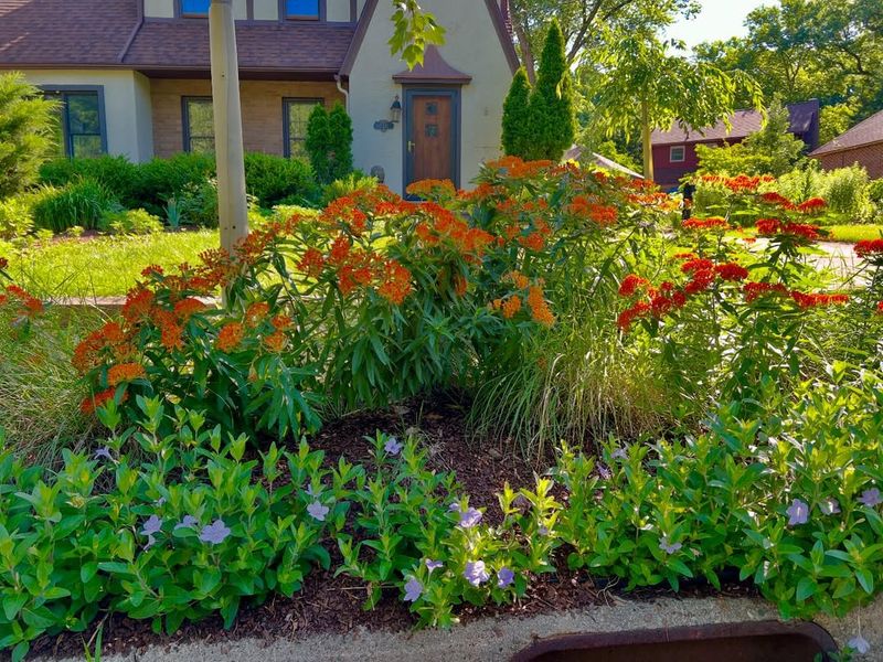 Perfect Fit For Oregon's Climate