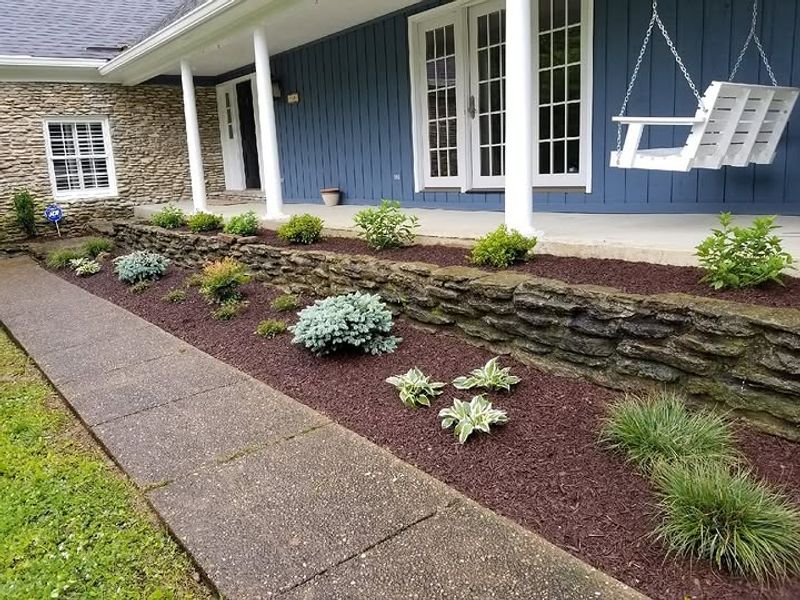 Apply Fresh Mulch To Protect And Nourish Soil