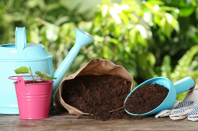 Refresh Container Soil Before Spring Planting Begins