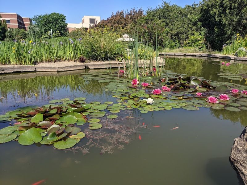 Pollinator Friendly Plantings Throughout The Grounds