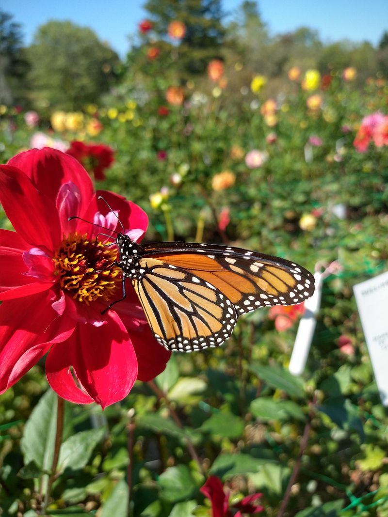 Feels Fairytale-Like Without Being Fictional