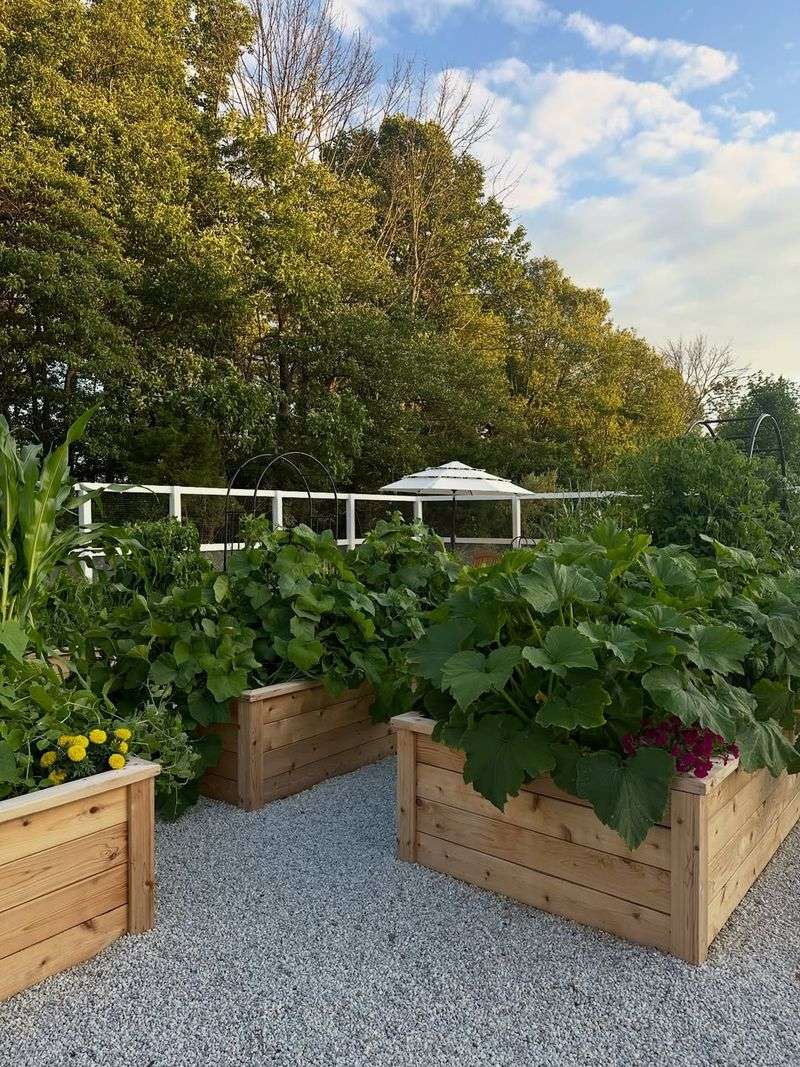 Build A Raised Bed For Better Drainage In Clay Soil