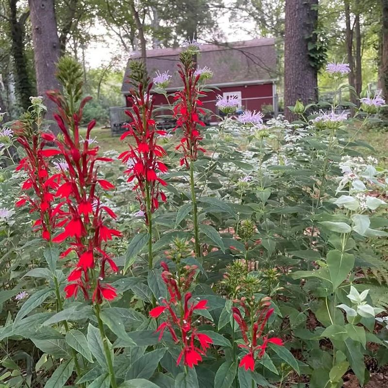 Group Plants By Water Needs To Reduce Waste