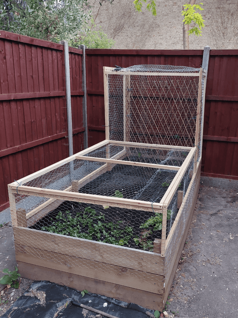 Use Raised Beds With Buried Fencing