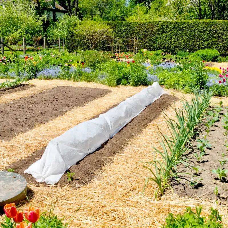 Mulch Beds To Conserve Moisture And Prevent Weeds