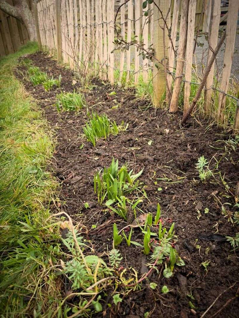 Quick Action Steps If Green Shoots Appear Too Soon