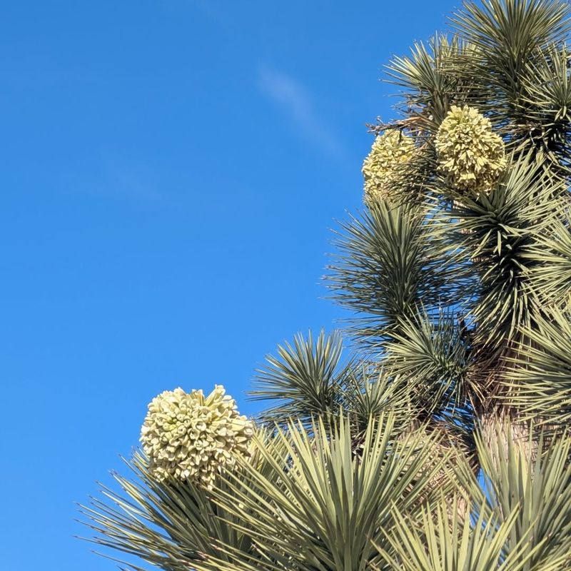 Why Experts Are Watching Closely