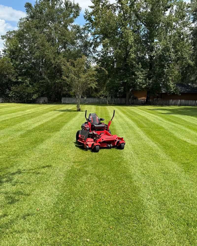 For Many Georgia Homeowners The Investment Pays Off During Peak Growth