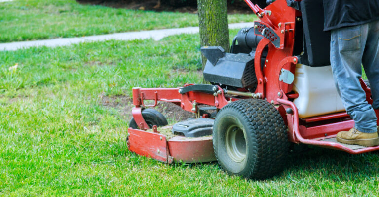 lawn mowing (featured image)