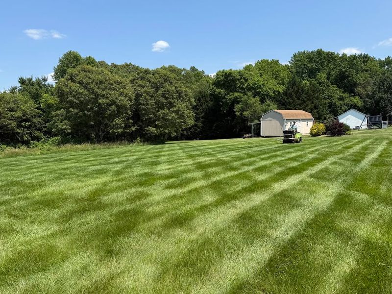 Take Control Of Spring Lawn Growth Before It Takes Over