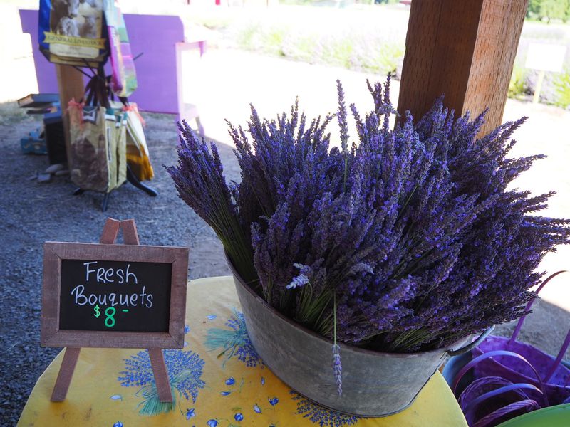 The Best Time To Visit