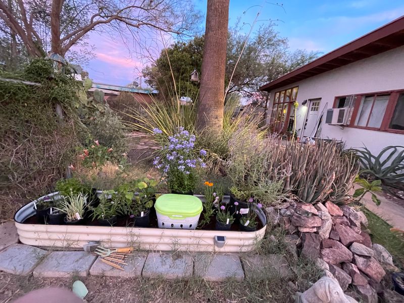 Raised Beds Warm Earlier Without Overheating Roots