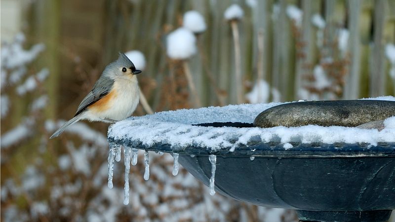 Do Not Expose Baths To Strong Winter Winds