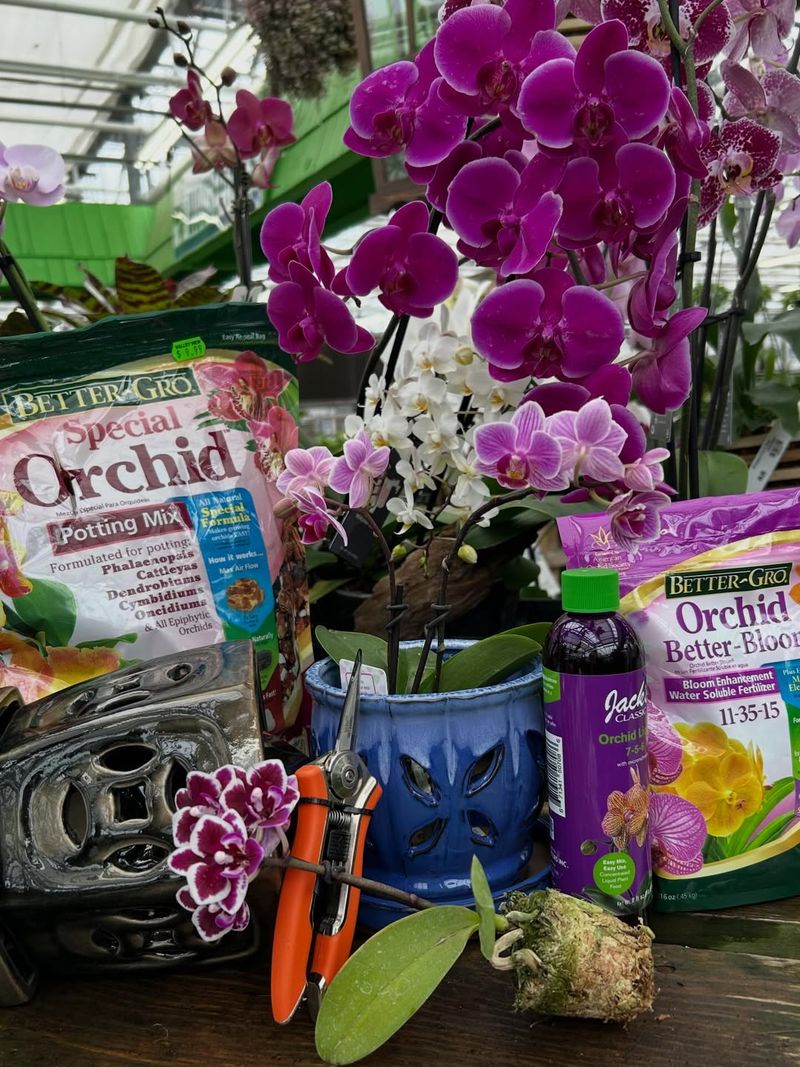 Feed Lightly During Active Growth