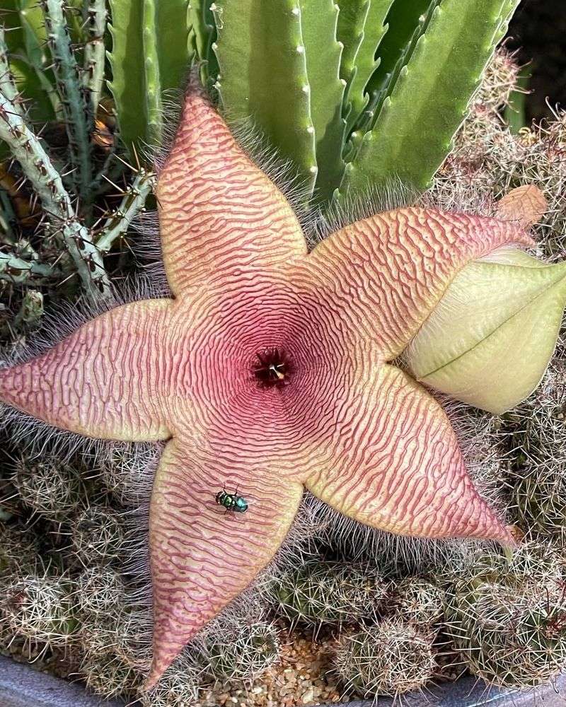 Protect It From Cold Nights