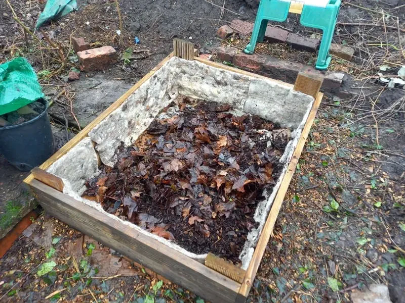 Old Plants Still Serve A Purpose