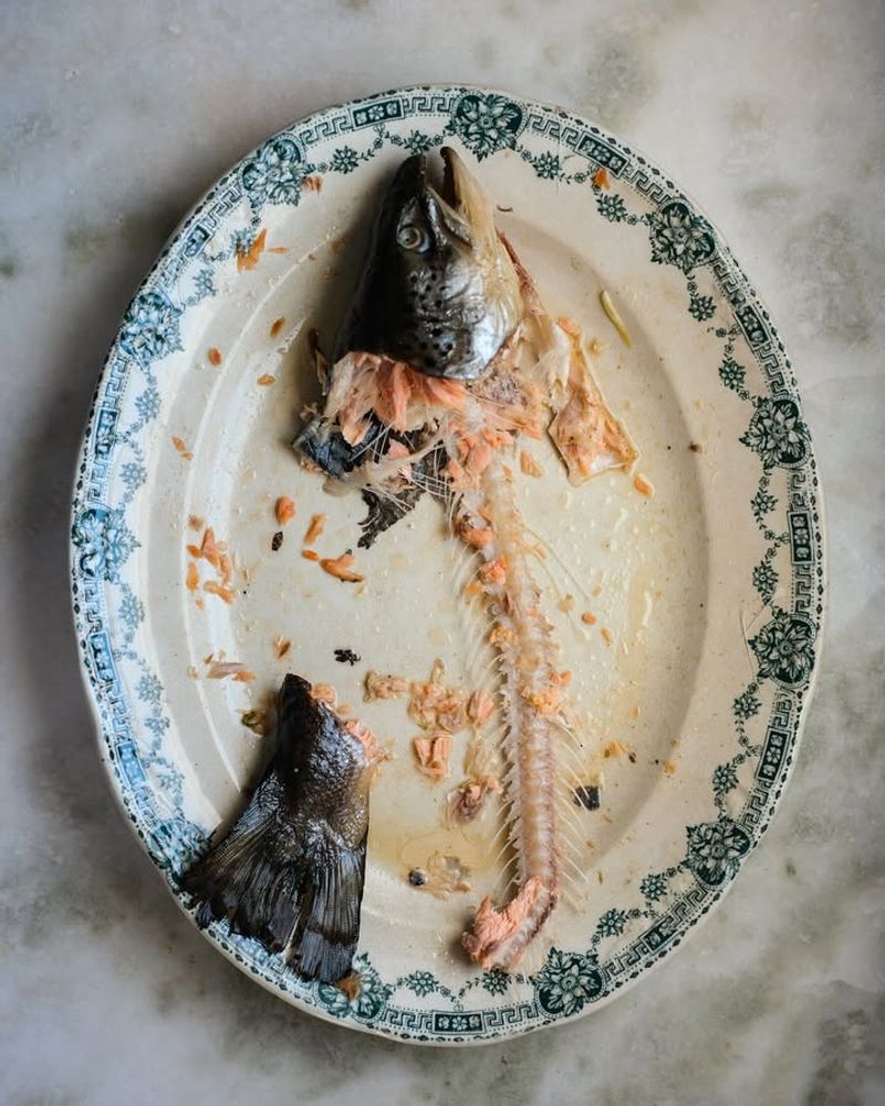 Materials To Avoid Adding To Garden Beds