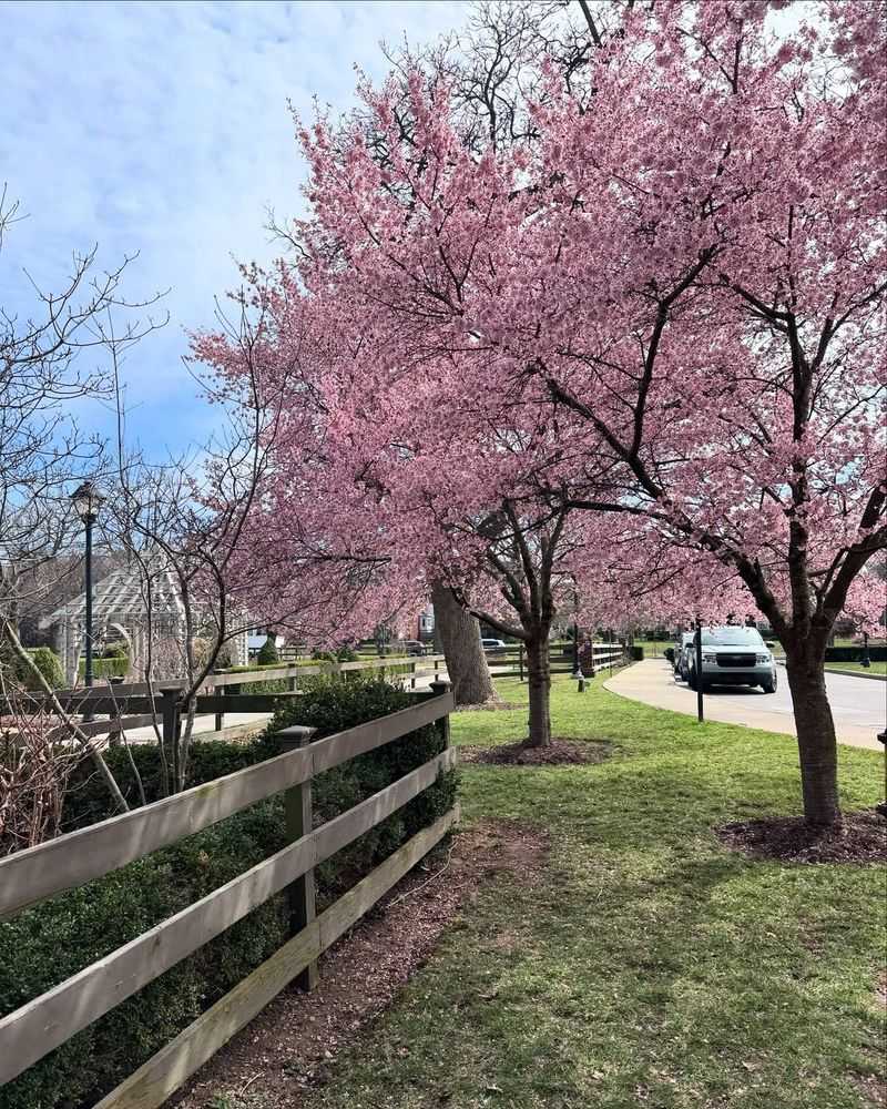 Spot The Warm Weather Triggers Early