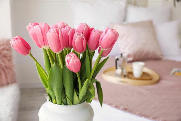 tulips in vase
