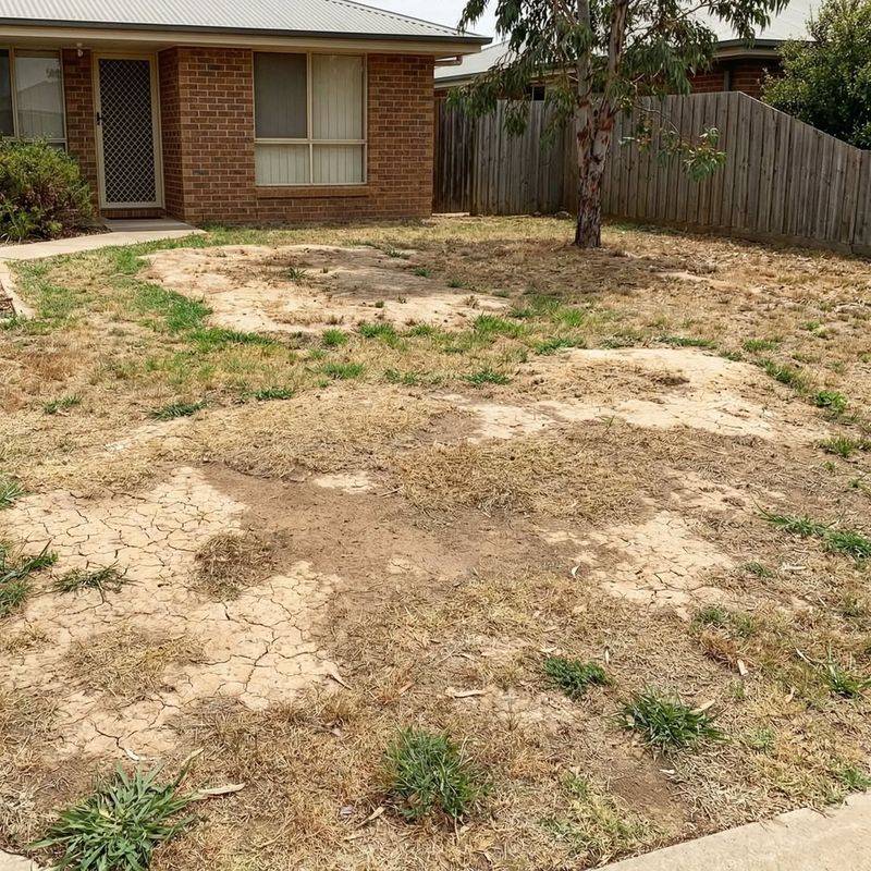 Brown Grass Can Trigger A Violation