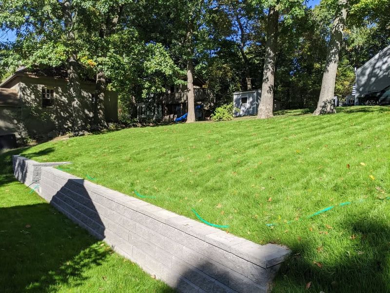 Professional Expertise