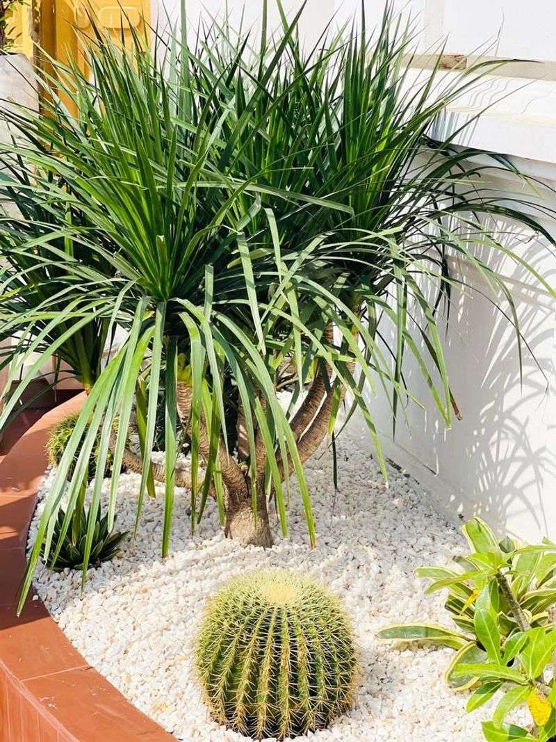 Combine Bold Textures With Soft Foliage