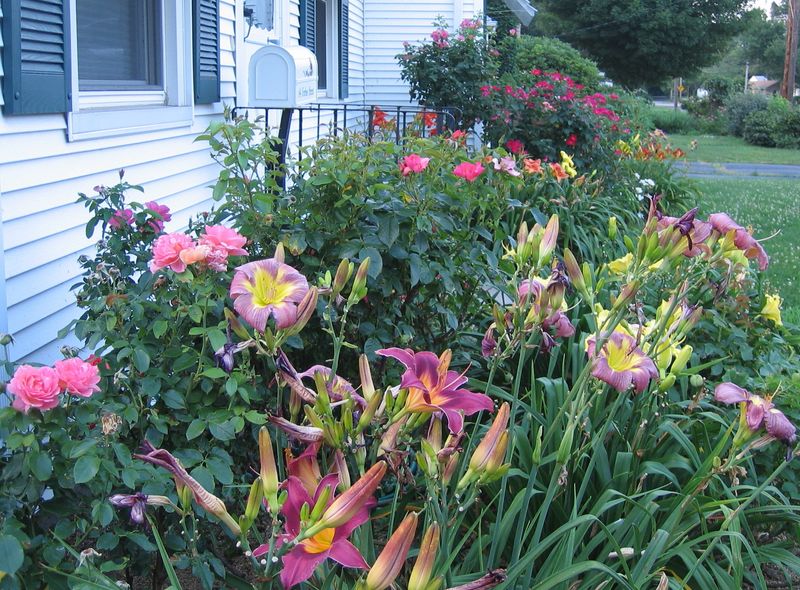 Mix Flowering Times For Continuous Seasonal Color