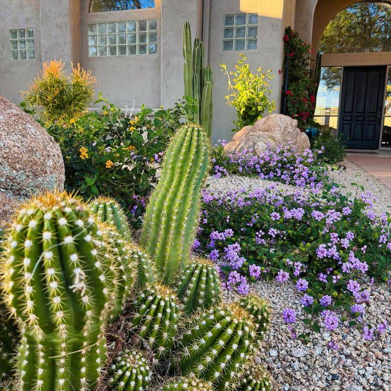 Desert-Style Flower Bed