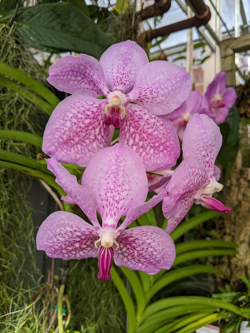 Seasonal Changes Bring New Colors And Blooms Throughout The Year