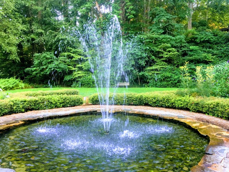 A Beautiful Spot For Photography And Nature Watching