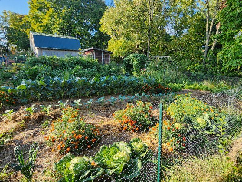 Start With Easy Crops That Thrive In Pennsylvania Weather