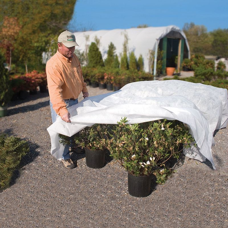 Daytime Removal And Nighttime Re Covering May Be Needed During Transition