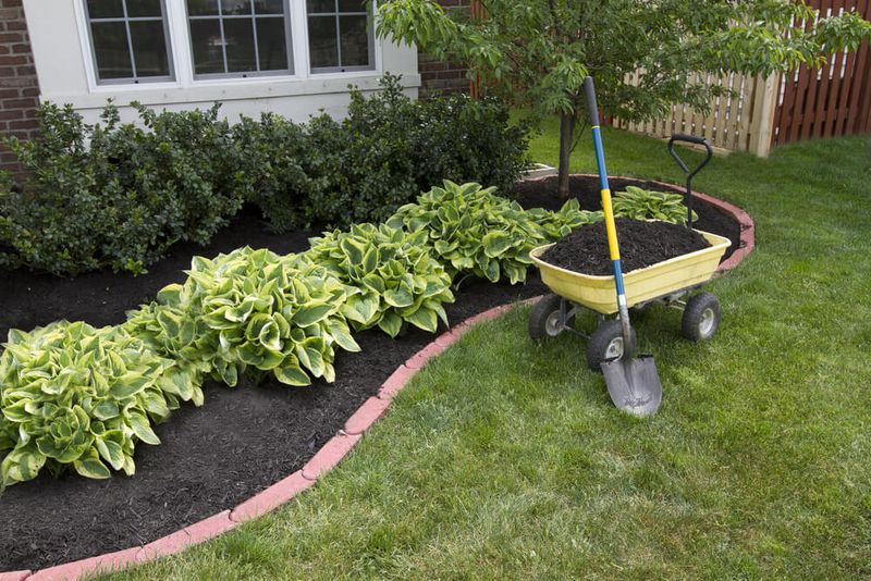 Creating Dense Mulch Beds Near Foundations