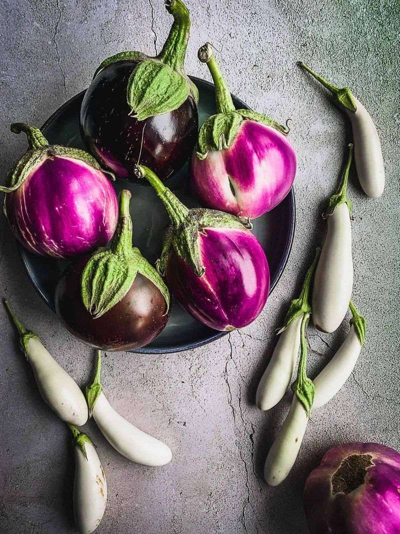 Specialty Eggplants In Unique Shapes And Colors