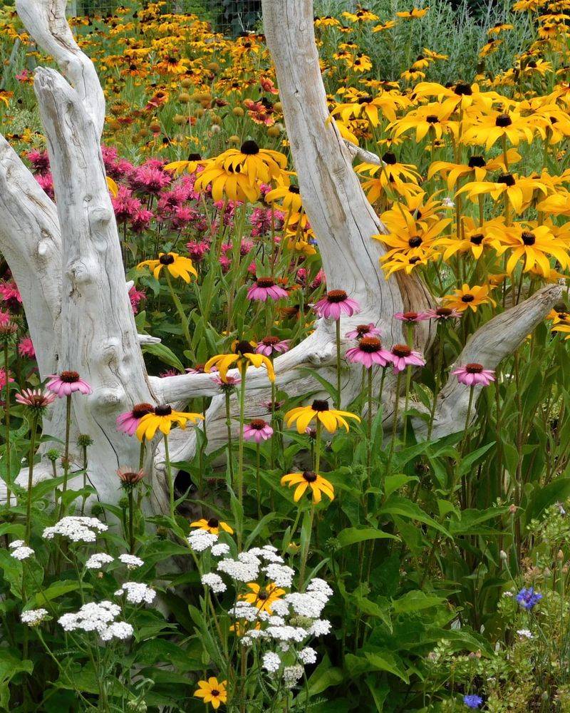 Plant In Drifts For Natural Beauty