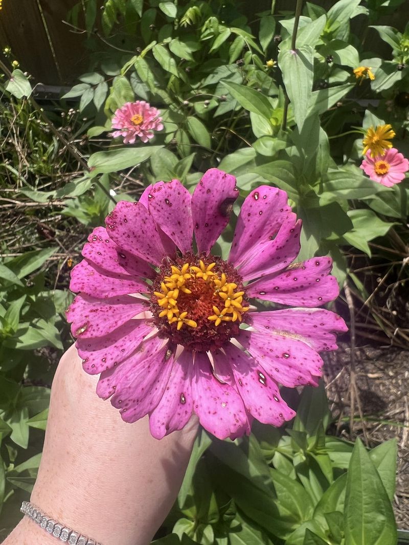 Ignoring Humidity Until Spots Appear