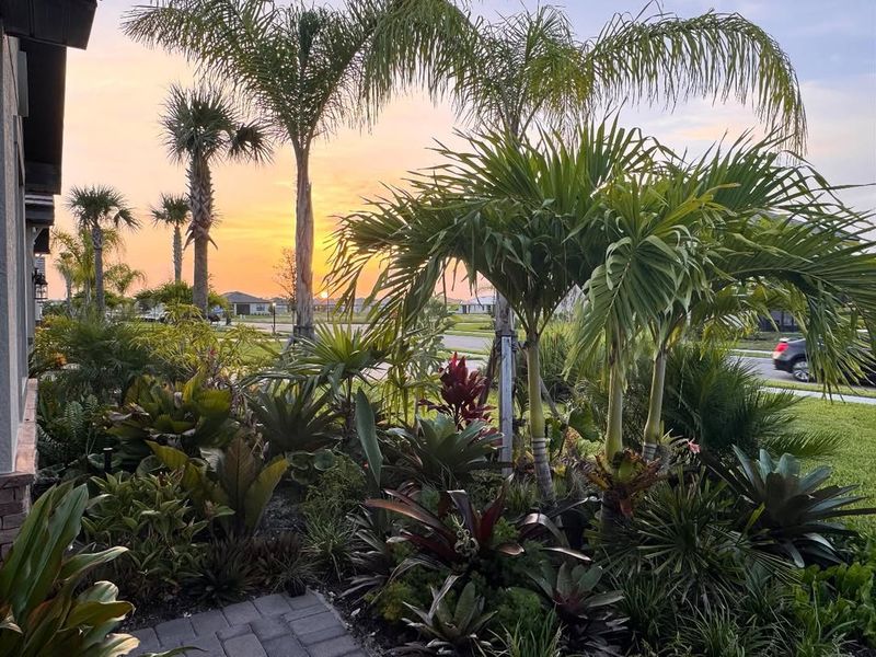 Mix Heights For A Fuller Living Landscape