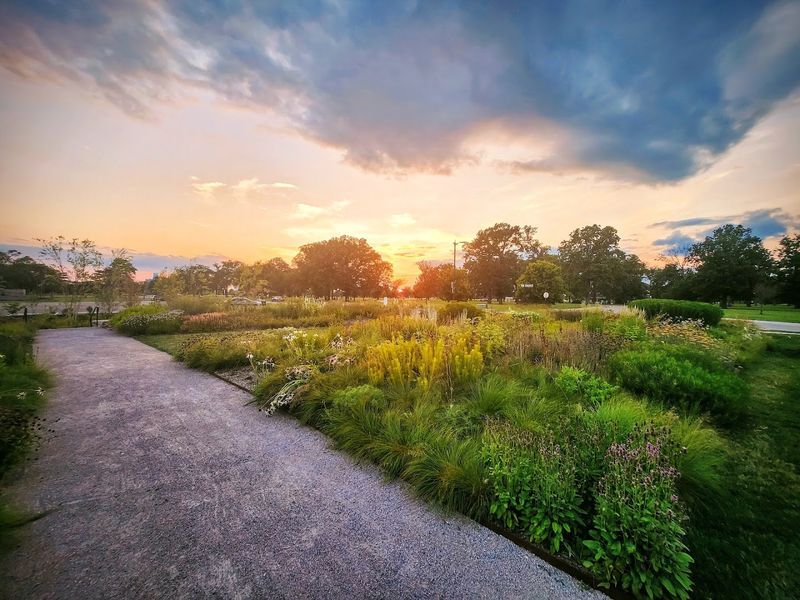 A Living Perennial Meadow That Changes Through The Seasons