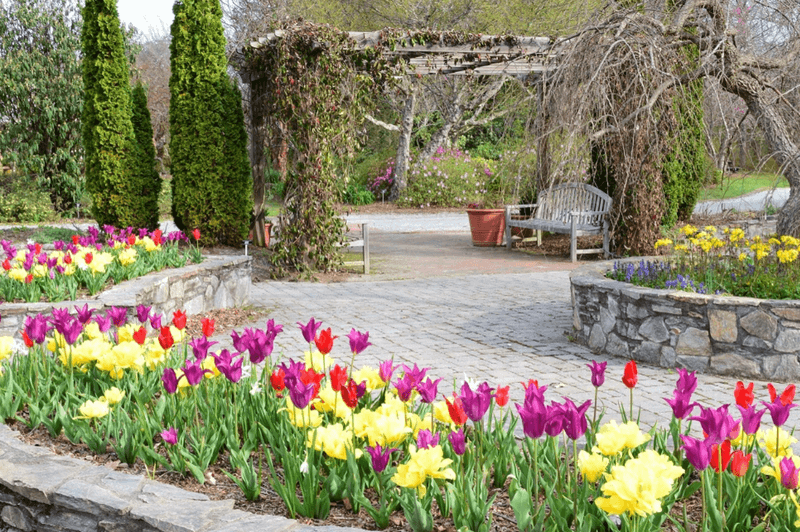 Designed To Engage Visitors Of All Ages